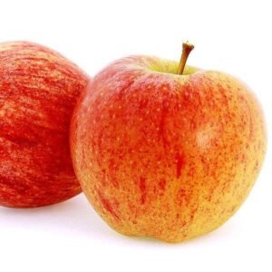 Apple Afghanistan Gala